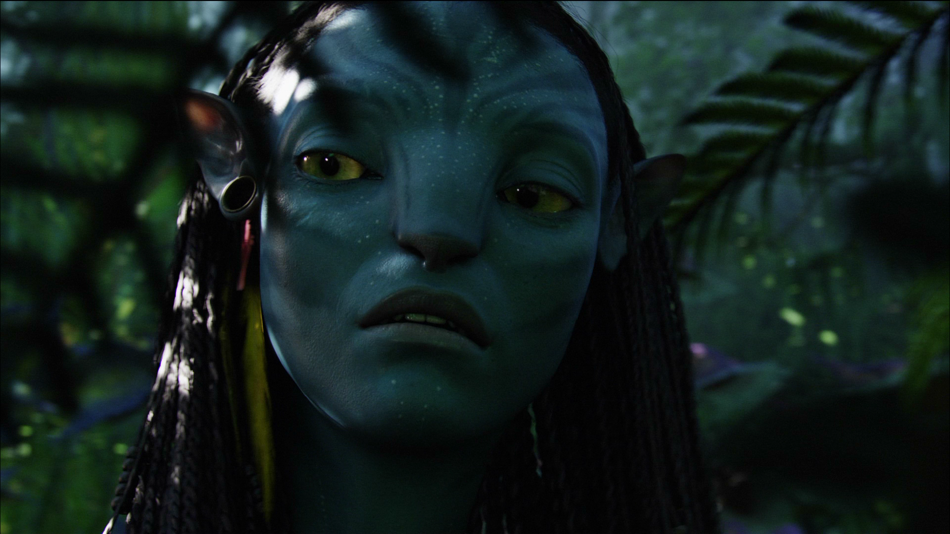 Photo from Avatar Film